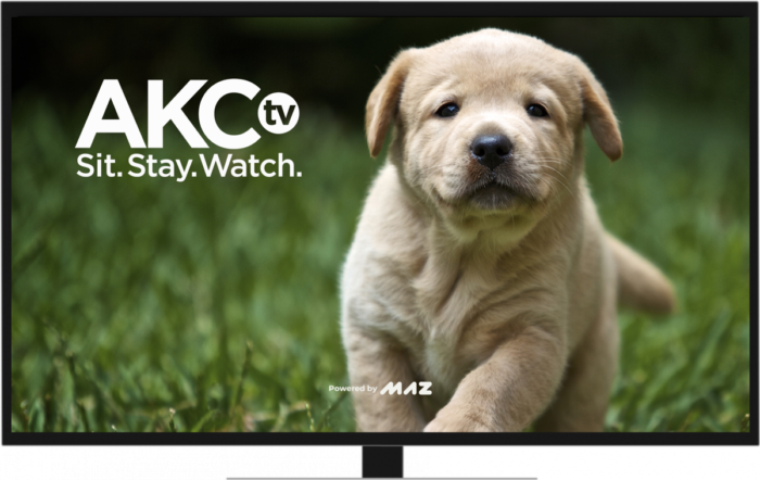 AKC TV